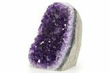 Free-Standing Amethyst Crystal Cluster - Uruguay #343765-1